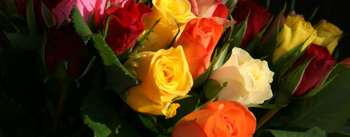 احادیثی درباره ی گل,روش های پرورش بهتر گل رز,سبد گل رز - راتارز Rata Rose