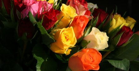 احادیثی درباره ی گل,روش های پرورش بهتر گل رز,سبد گل رز - راتارز Rata Rose