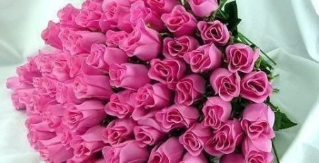 عطر گل رز,گل رز هلندی,راه های افزایش عمر شاخه های گل,سفارش آنلاین گل رز هلندی,سبد گل رز هلندی,جعبه گل رز هلندی قرمز,گل رز,فروش آنلاین باکس گل رز هلندی قرمز,سبد گل رز سفید,دسته گل رز هلندی